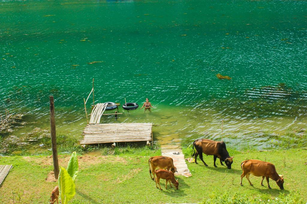 Behome Homestay Phong Nha Exterior foto